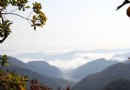 楓林谷森林公園