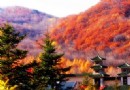 紅葉漂流