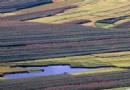 舒蘭鳳凰山