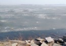 觀瀾湖公園
