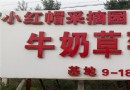 小紅帽采摘園