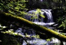 長白山奶頭山女真風景區