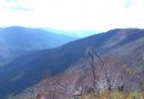 老白山原始生態景區
