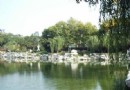 青年湖公園