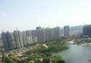 體育公園