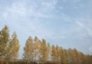 黑龍江大學博物館