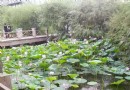 雨陽公園