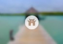 七級浮屠塔