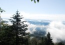 平頂山