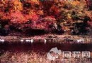 龍骨山