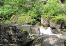 桃山國家森林公園
