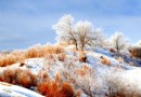 亞雪驿站十裡畫廊
