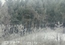 陽明公園