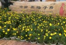 佳木斯烏蘇裡江