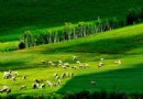 巴爾虎蒙古部落民俗旅游度假景區