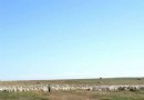 黑山頭古城