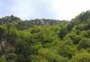 九龍山生態旅游風景區