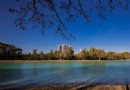 森林公園