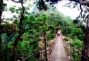 歷山皇姑幔景區