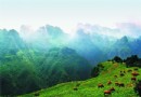 歷山舜王坪景區