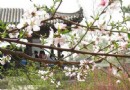 常家莊園