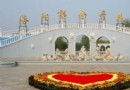 洛陽郁金香牡丹公園