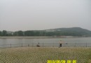 伊河