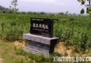 裴李崗遺址