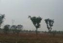 綠蔭公園