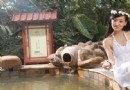 江南春溫泉