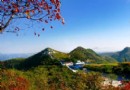 竹林長壽山