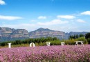 紫海情緣薰衣草莊園