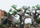 華陽湖生態旅游風景區