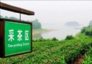 南灣湖茶島
