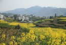 雄村景區