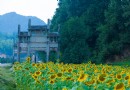 蜀源村