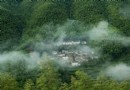 木坑竹海