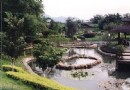 大陳墩遺址