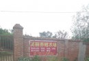 大神龜