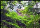 天井山