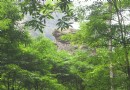 黃巢堡森林公園