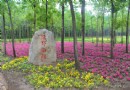 綠野仙蹤生態莊園