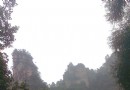 灞橋生態濕地公園