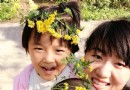秦嶺歡樂世界