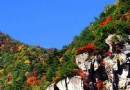 朱雀國家森林公園