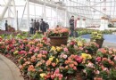 泾河智慧農業園