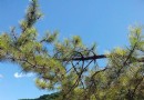 石門山國家森林公園