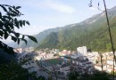 觀音山大熊貓自然保護區