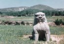 唐定陵