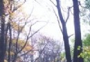 雞峰山